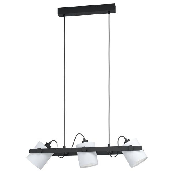 HORNWOOD 1 pendant light 43426 image 1