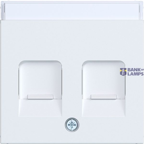 KeyStone 2-way central plate, dust shield, text field, A.x/C.x matte white image 1