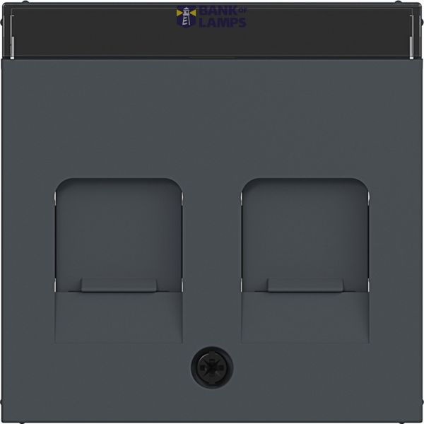KeyStone 2-way central plate, dust protection, text field, A.x/C.x anthracite. image 1