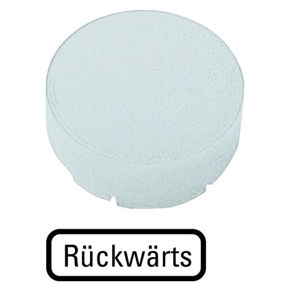 M22-XDLH-W-D16 Button lens, raised white, BACKWARDS image 1