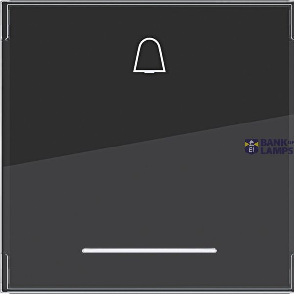 Swing 1-v, bell symbol, large text field, clear lens, A.x/C.x, black glass. image 1