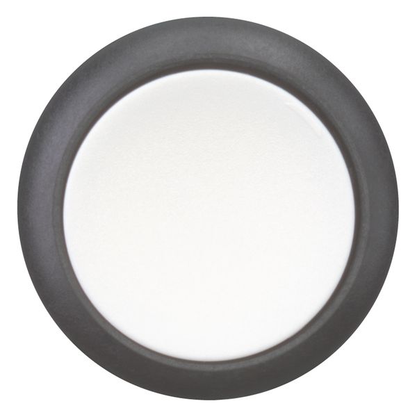 M22S-DR-W Pushbutton, RMQ-Titan, Flat, maintained, White, Blank, Bezel: black image 5