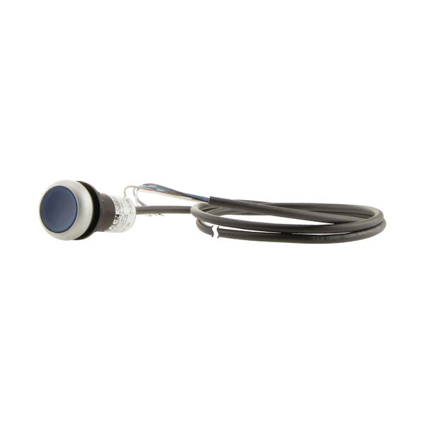 C22-DRL-B-K10-24-P65 Illuminated pushbutton actuator, classic, flat, maintained, 1 N/O, blue, 24 V AC/DC, cable (black) with non-terminated end, 4 pole, 3.5 m image 12