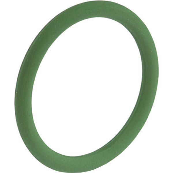 O-ring Viton FPM 48.0 x 3.0  image 1