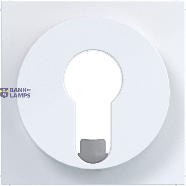 Central plate blind switch/pulse drive DIN cylinder A.x/C.x white glass image 1