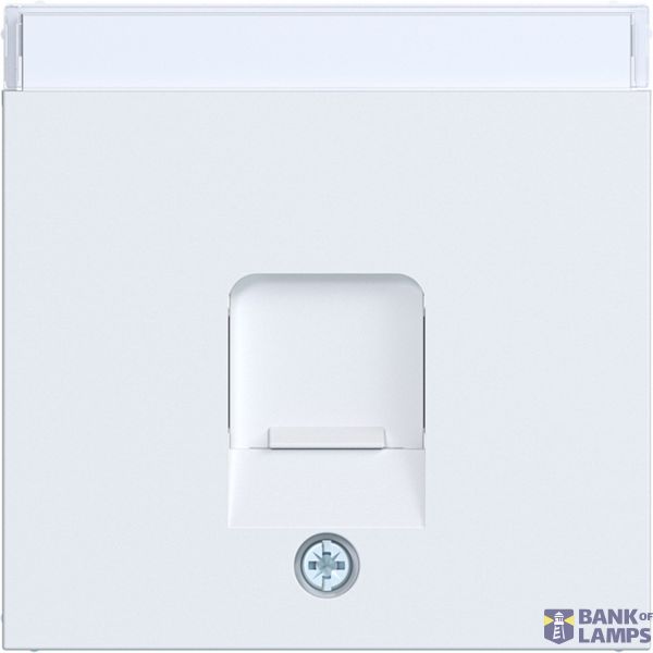 KeyStone 1-v central plate, dust shield, text field, A.x/C.x matte white image 1