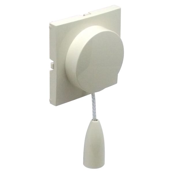 C.PLAT F/PULL-CORD PUSH-BUT/TWO-WAY SWITCH IV image 1