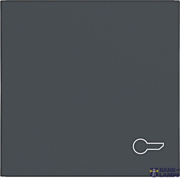 Single rocker, door opener symbol imprint, A.x/C.x, anthracite image 1