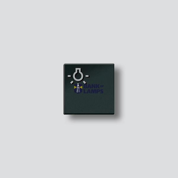 TLM 61x-01, BTLM 650-... SH Light button with light symbol image 1