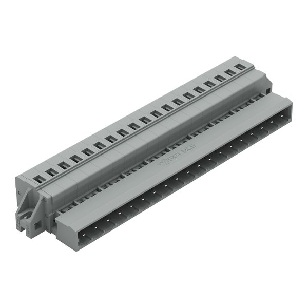 1-conductor male connector CAGE CLAMP® 2.5 mm² gray image 1