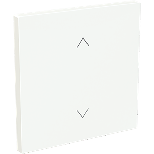 F@H, BT, FoH Control rocker 1-v blind art-white image 1