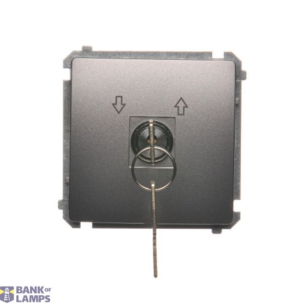 Roller blind momentary switch with key, Inox, metallized, 5A image 1