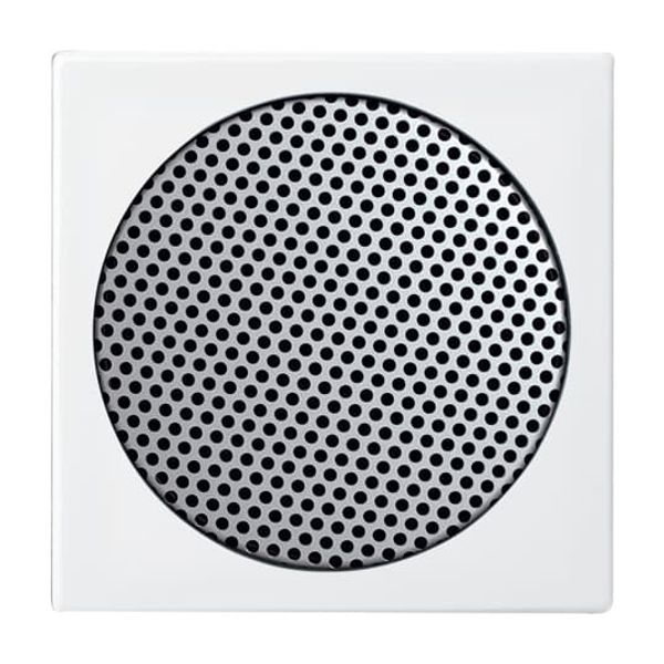 Central plate with rotary handle, with imprint Busch-balance® SI image 6