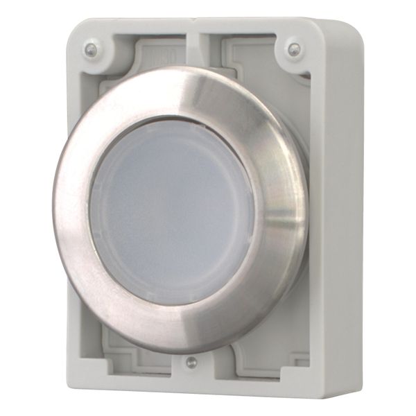 M30I-FDL-W Illuminated pushbutton actuator, RMQ-Titan, flat, momentary, White, blank, Front ring stainless steel image 3