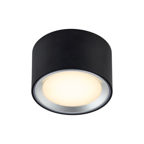 Fallon | Surface downlight | Black/Steel image 3