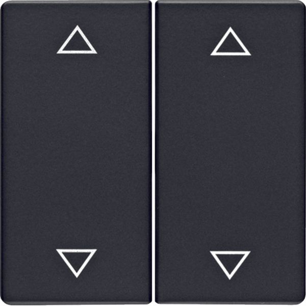 Rocker 2gang imprinted arrows symbol, Q.1/Q.3, ant. velvety, lacq. image 1