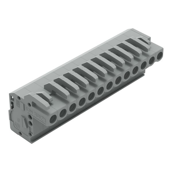 1-conductor female connector, angled CAGE CLAMP® 2.5 mm² gray image 1