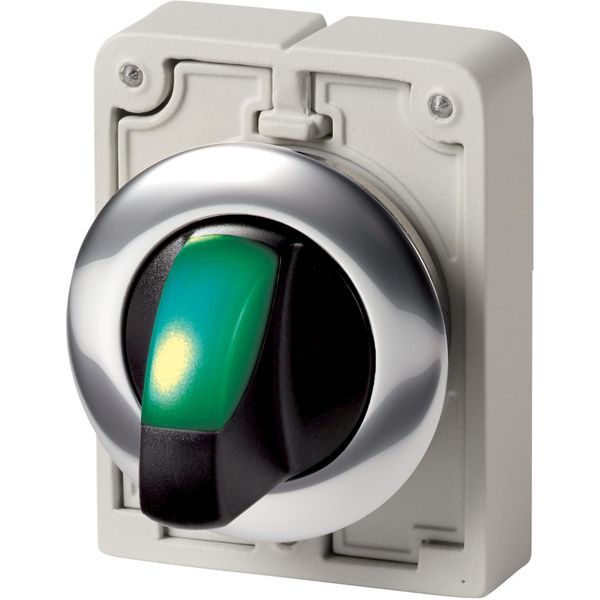M30C-FWLK-G Illuminated selector switch actuator, RMQ-Titan, With thumb-grip, momentary, 2 positions, green, Metal bezel image 3