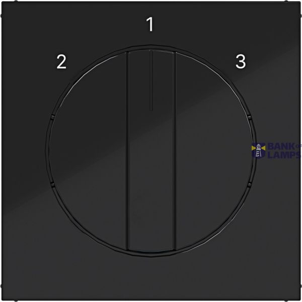 Central plate 3-position switch, A.x/C.x, glossy night black image 1