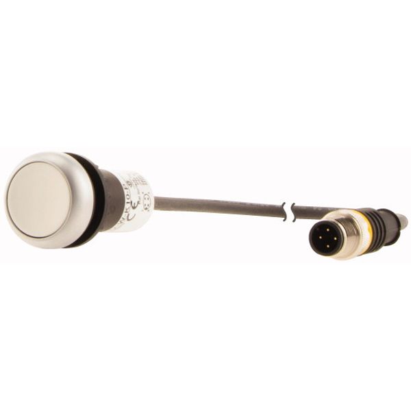 C22-D-W-K10-P3 Pushbutton, Flat, momentary, 1 N/O, Cable (black) with M12A plug, 4 pole, 0.5 m, White, Blank, Bezel: titanium image 3