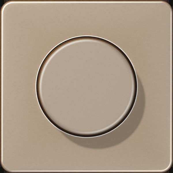 centre plate f. dimmer image 3