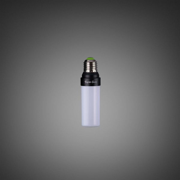 PUNCH BULB / FORKED / OPAL image 2