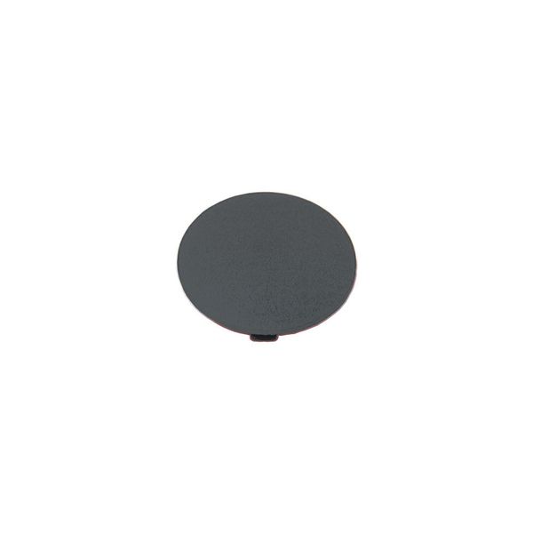 M22-XDP-S Button plate, mushroom black, blank image 9