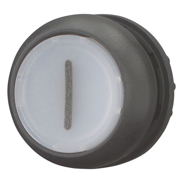 M22S-DRL-W-X1 Illuminated pushbutton actuator, RMQ-Titan, Flush, maintained, White, inscribed 1, Bezel: black image 12