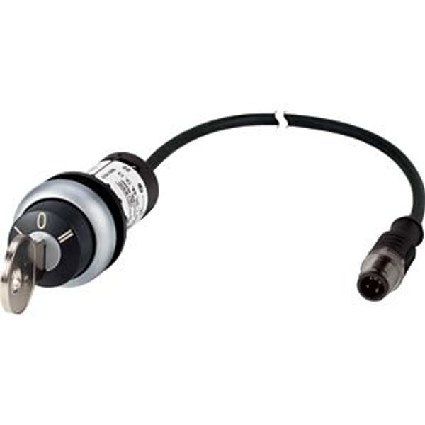 C22-WRS3-MS1-K20-P5 Key-operated actuator, RMQ compact solution, maintained, 2 N/O, Cable (black) with M12A plug, 4 pole, 1 m, 3 positions, MS1, Bezel: titanium image 5