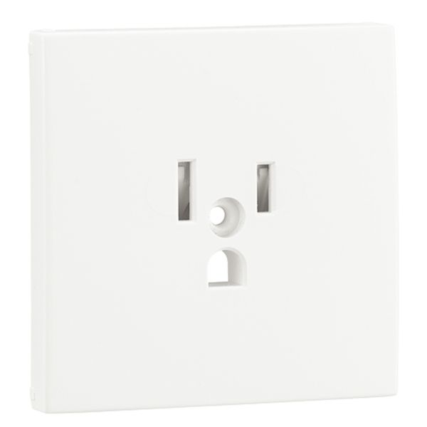 SAF C.PLATE F/EARTH SOCKET (USA NEMA) WHITE image 1