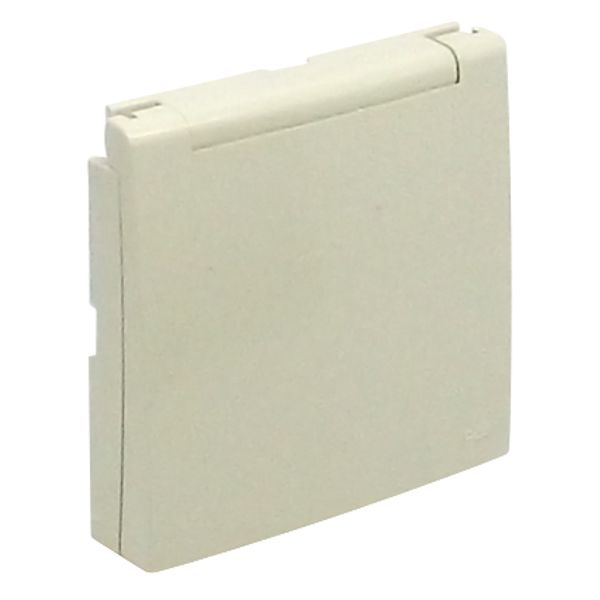 C.PLAT F/SKO SOCK W/SAF & HINGED LID(IP44) IV image 2