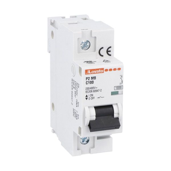 Miniature circuit breaker, 1P, 2P, 3P and 4P - 10kA, characteristic C, 100A image 1