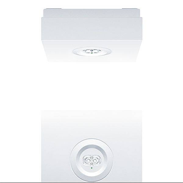 RESCLITE PRO MSC SPOT E8D WH - Safety luminaire image 1