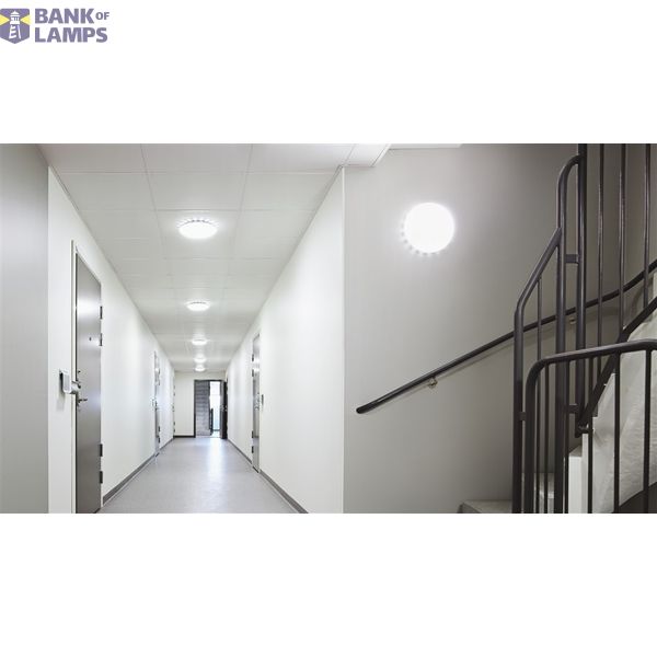 Steinel Sensor Buitenlamp RS PRO LED S2 WW PM MP image 4