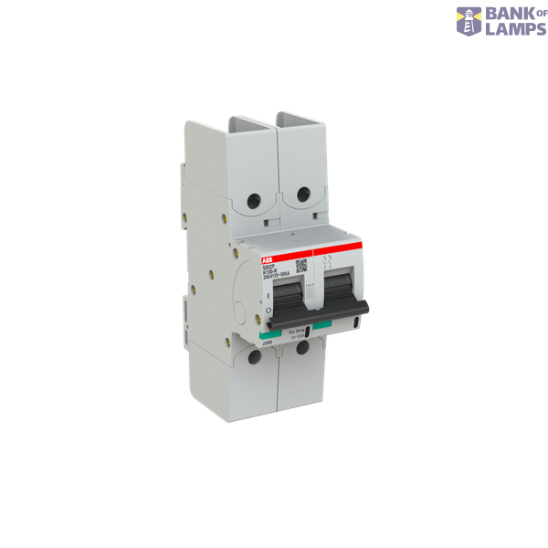 S802P-K100-R circuit breaker image 2