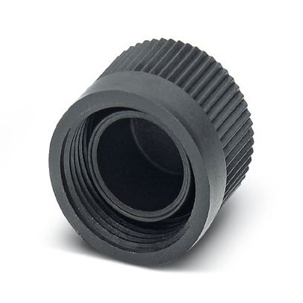 PROT-MINFS-PA - Sealing cap image 2