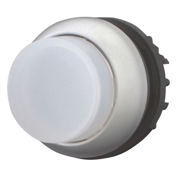 M22-DRLH-W Illuminated pushbutton actuator, RMQ-Titan, Extended, maintained, White, Blank, Bezel: titanium image 5
