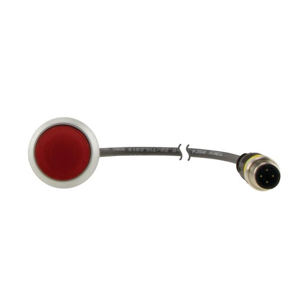 C22-DL-R-K01-24-P1 Illuminated pushbutton actuator, Flat, momentary, 1 NC, Cable (black) with M12A plug, 4 pole, 0.2 m, LED Red, red, Blank, 24 V AC/DC, Bezel: titanium image 14