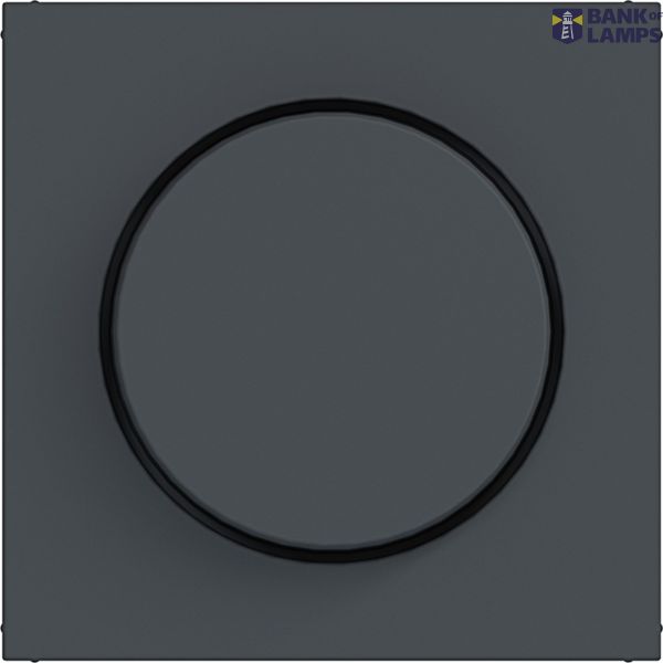 Rotary dimmer cover, A.x/C.x, anthracite image 1