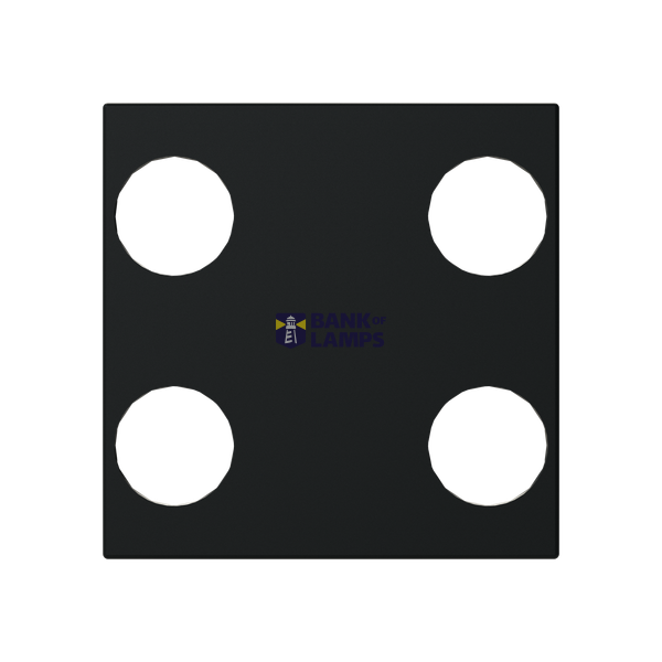Cover plate - KNX 2/4-gang sensors - 2M - Matt Black image 1