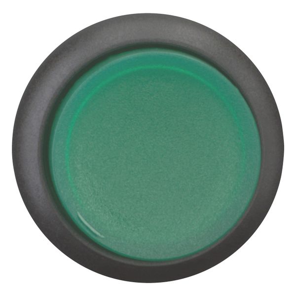 M22S-DLH-G Illuminated pushbutton actuator, RMQ-Titan, Extended, momentary, green, Blank, Bezel: black image 5