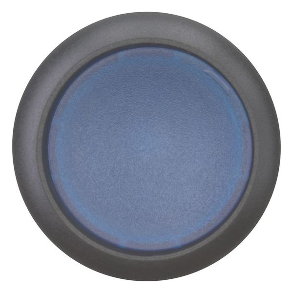 M22S-DL-B Illuminated pushbutton actuator, RMQ-Titan, Flush, momentary, Blue, Blank, Bezel: black image 3