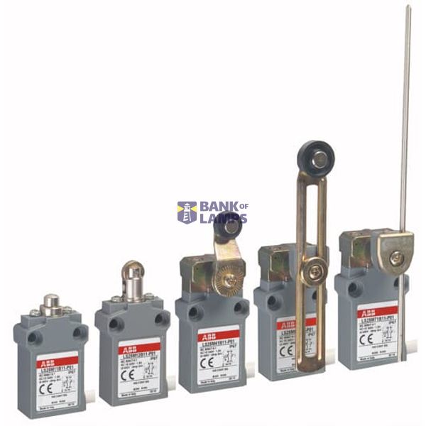 LS25P21B11-U01 Limit Switch image 1