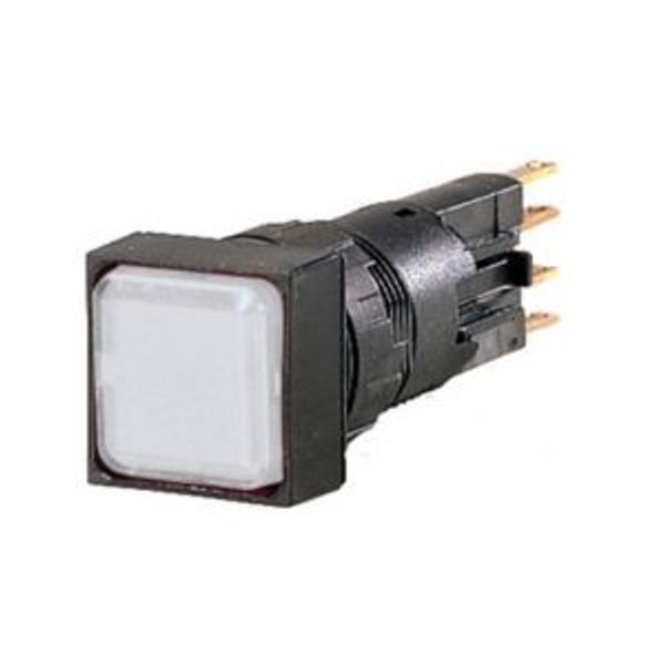 Q18LF-WS/WB Indicator light, flush, white, +filament lamp, 24 V image 2