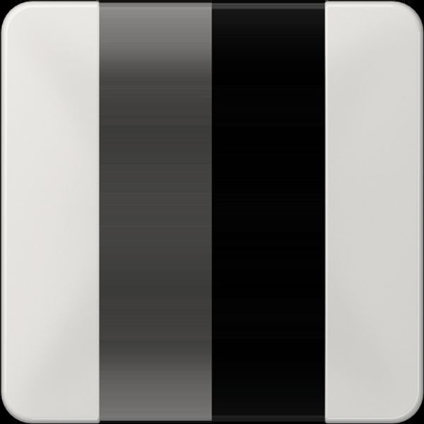 Cover kit 1-gang, complete CD501TSALG image 2