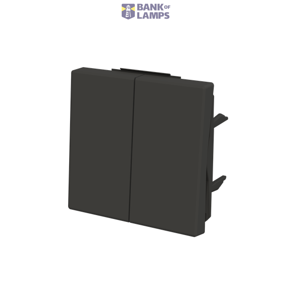 Rocker 2 gang switch/push image 2