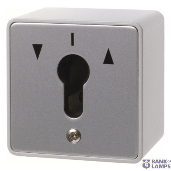 Blind push button 1-prong for key cylinder, surface-mounted, cast IP44 image 1