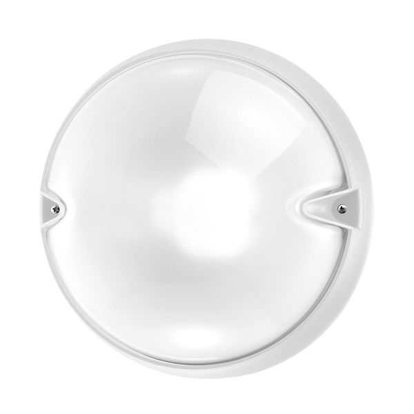 CHIP TONDO 30 WIT E27 image 1