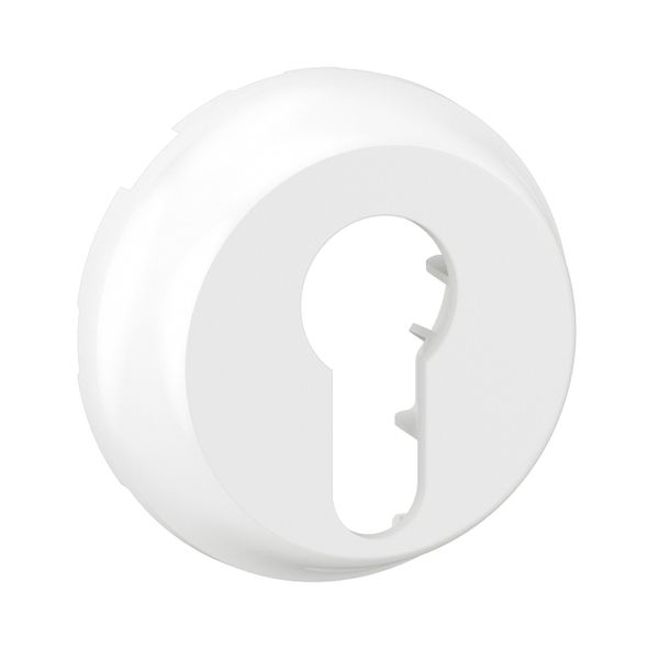 COVER PLATE image 1