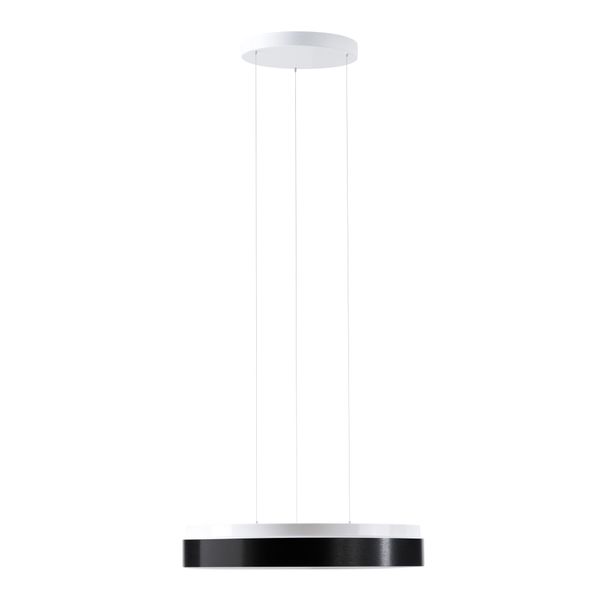 LED-1L20C07ZLE11/PM24C/L100 4000 image 1